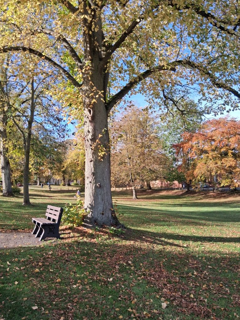 Southwell the Burgage